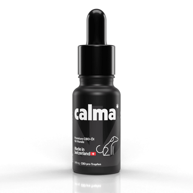 Huile de CBD pour chiens đ¶