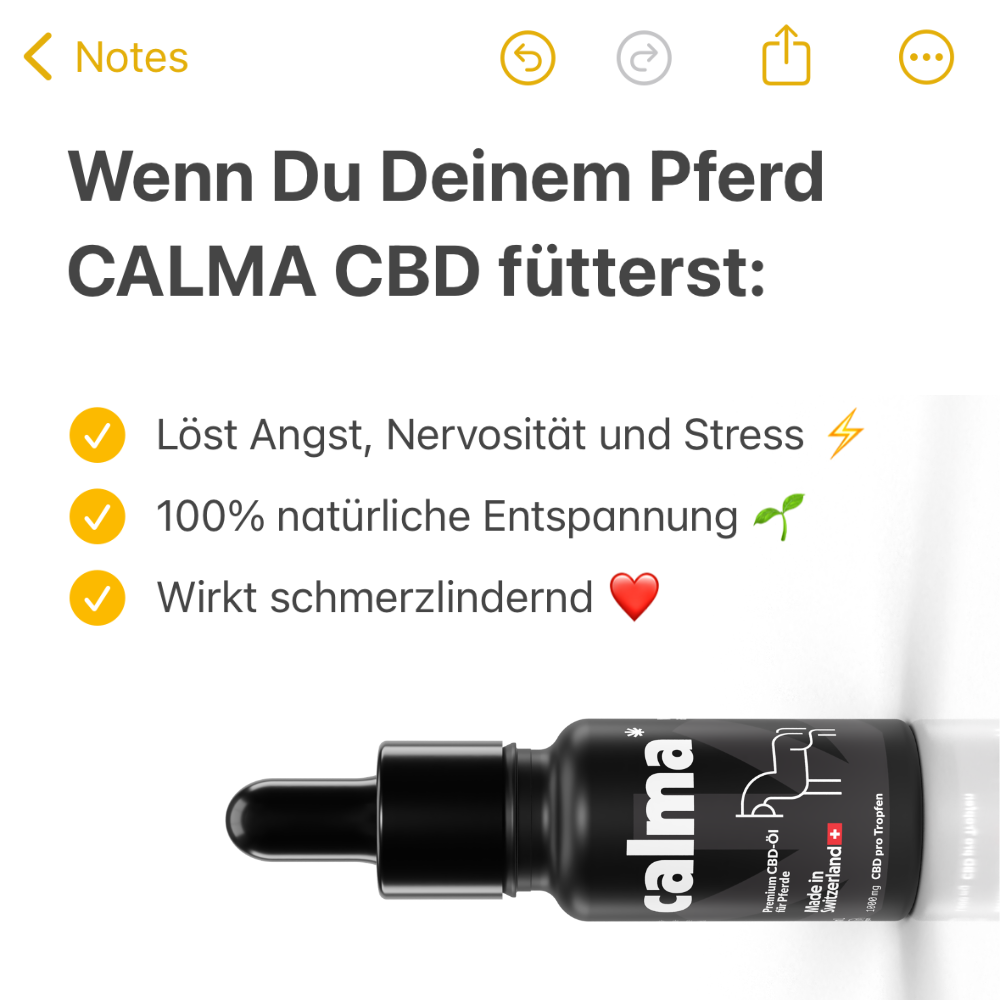 Huile de CBD pour chevaux đŽ