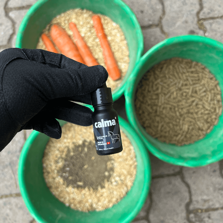 Huile de CBD pour chevaux đŽ