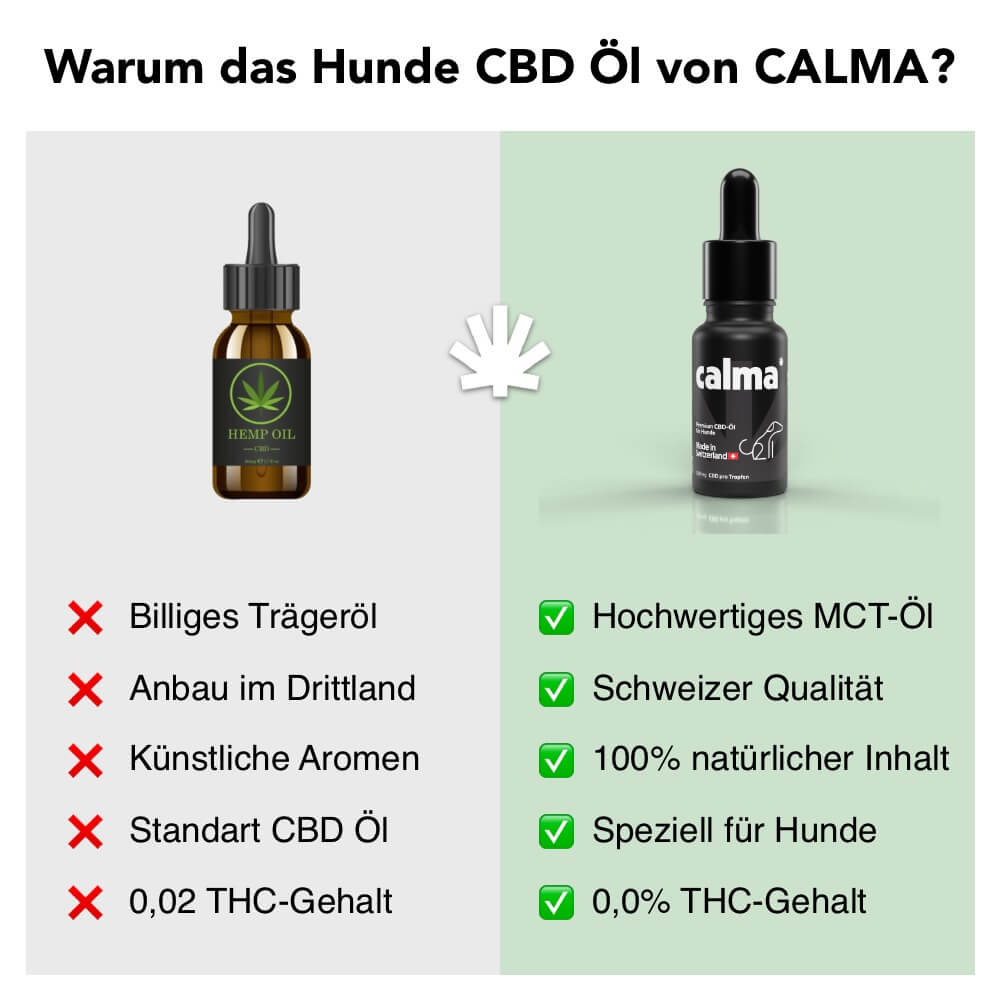 CBD Öl für Hunde Vorteile