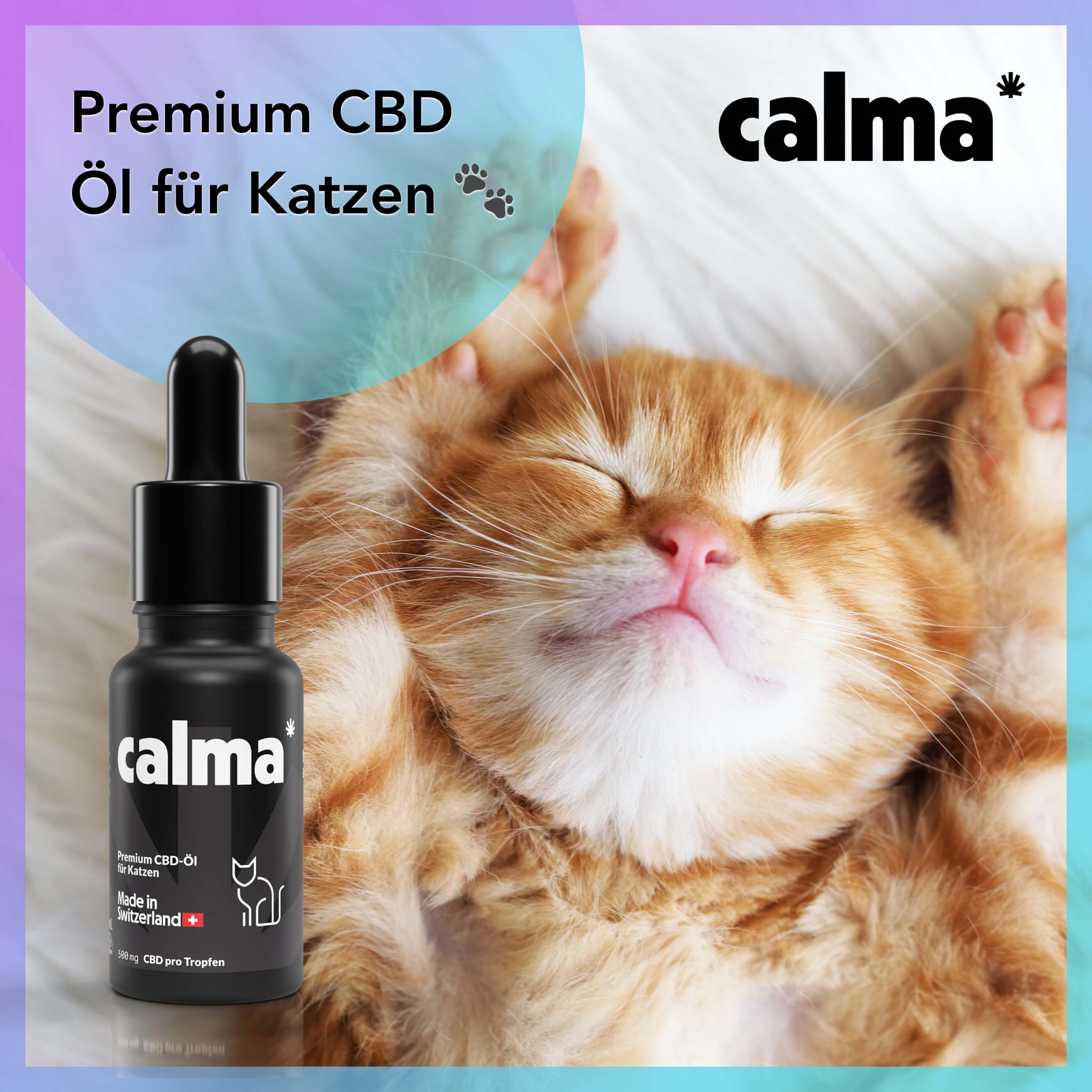 Huile CBD pour chats 🐱